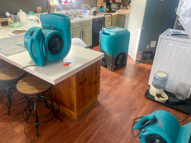 Best Water damage restoration near me  in Folsom, PA